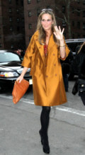 Molly Sims